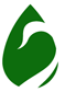 Natural Therapy Info