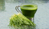 Wellbeing Greens