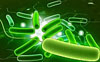 Bacteria cleansing
