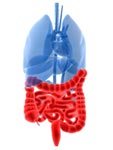 Colon Health