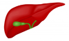 Liver Cleansing
